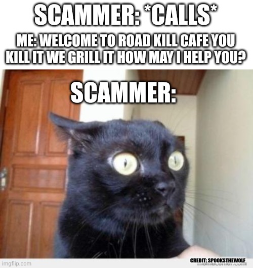 Anti-Scammer | SCAMMER: *CALLS*; ME: WELCOME TO ROAD KILL CAFE YOU KILL IT WE GRILL IT HOW MAY I HELP YOU? SCAMMER:; CREDIT: SPOOKSTHEWOLF | image tagged in scared cat | made w/ Imgflip meme maker