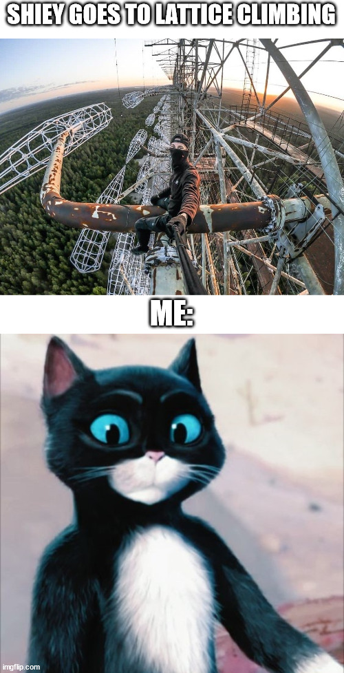Lattice climbing meme, kitty | SHIEY GOES TO LATTICE CLIMBING; ME: | image tagged in shiey,kitty,puss in boots,latticeclimbing,cat,tower | made w/ Imgflip meme maker