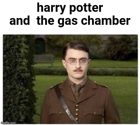 "screw hogwarts, maybe ill do politics" | harry potter and  the gas chamber | image tagged in harry potter,hitler,a,ss | made w/ Imgflip meme maker