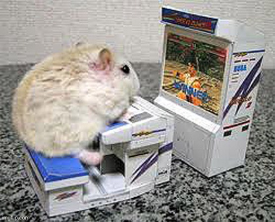 gaming mouse | image tagged in gamer hamster | made w/ Imgflip meme maker