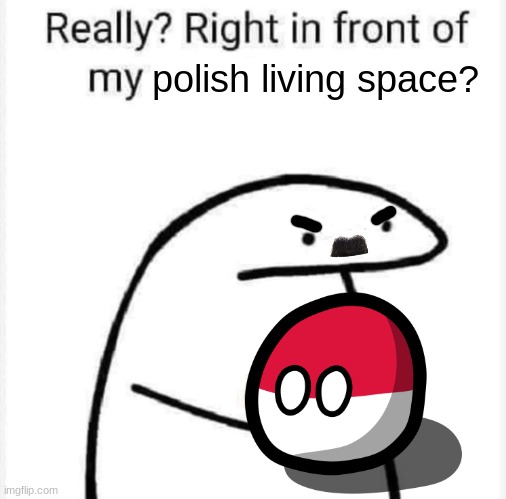o nein | polish living space? | image tagged in really right in front of my | made w/ Imgflip meme maker