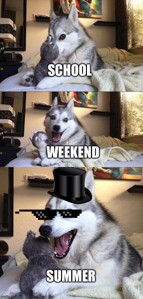 Bad Pun Dog Meme | SCHOOL; WEEKEND; SUMMER | image tagged in memes,bad pun dog,dogs | made w/ Imgflip meme maker