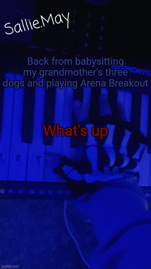 Sallie's temp by hannibal | Back from babysitting my grandmother's three dogs and playing Arena Breakout; What's up | image tagged in sallie's temp by hannibal | made w/ Imgflip meme maker