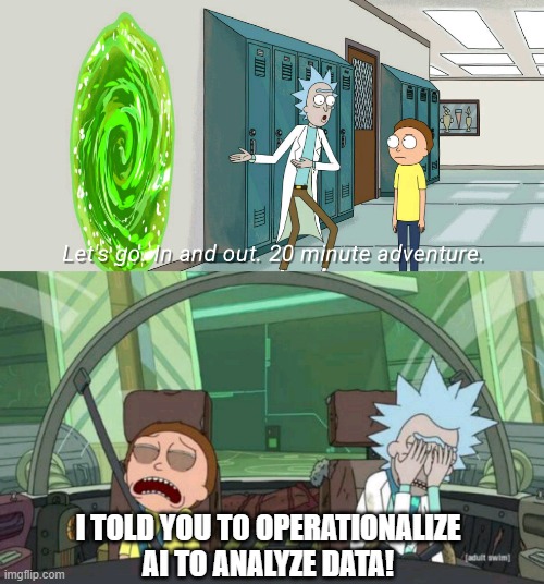 20 minute adventure rick morty | I TOLD YOU TO OPERATIONALIZE AI TO ANALYZE DATA! | image tagged in 20 minute adventure rick morty | made w/ Imgflip meme maker