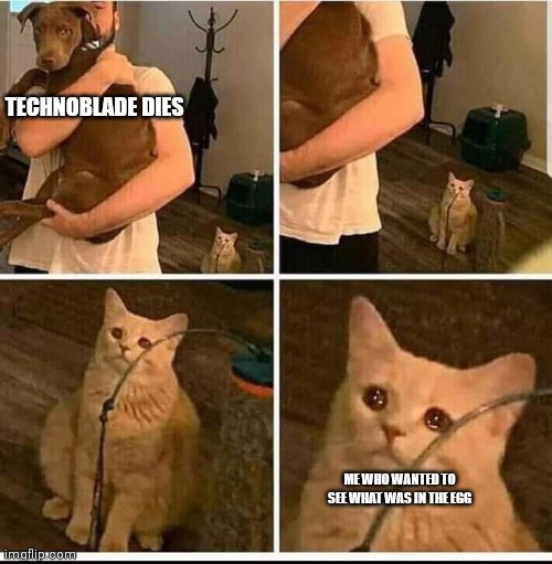 What was it gonna be tho | TECHNOBLADE DIES; ME WHO WANTED TO SEE WHAT WAS IN THE EGG | image tagged in sad cat in background,technoblade,dream smp | made w/ Imgflip meme maker