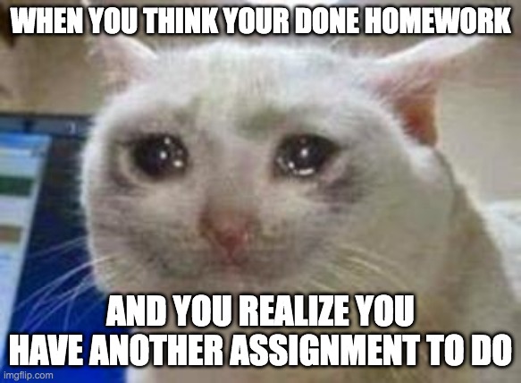 Sad cat | WHEN YOU THINK YOUR DONE HOMEWORK; AND YOU REALIZE YOU HAVE ANOTHER ASSIGNMENT TO DO | image tagged in sad cat | made w/ Imgflip meme maker