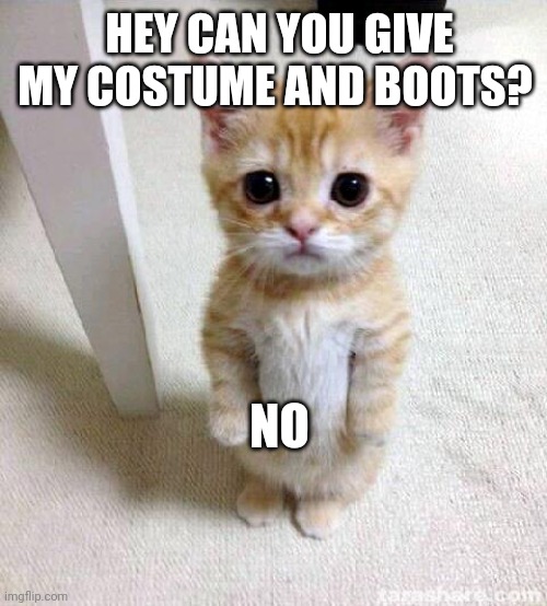 Puss in boots while wants go outside | HEY CAN YOU GIVE MY COSTUME AND BOOTS? NO | image tagged in memes,cute cat | made w/ Imgflip meme maker