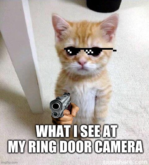 Cute Cat Meme | WHAT I SEE AT MY RING DOOR CAMERA | image tagged in memes,cute cat | made w/ Imgflip meme maker