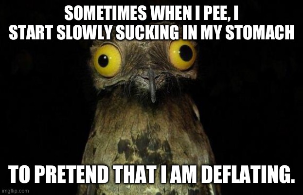 Weird Stuff I Do Potoo Meme | SOMETIMES WHEN I PEE, I START SLOWLY SUCKING IN MY STOMACH; TO PRETEND THAT I AM DEFLATING. | image tagged in memes,weird stuff i do potoo | made w/ Imgflip meme maker