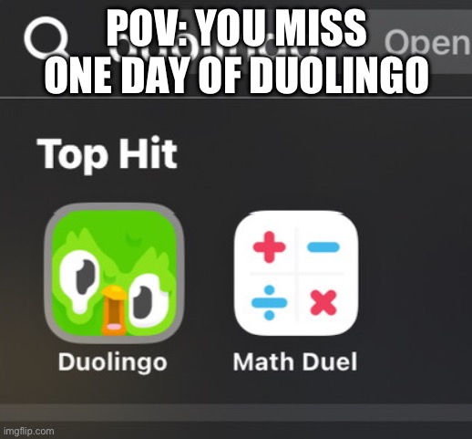 Don’t miss a single day | POV: YOU MISS ONE DAY OF DUOLINGO | image tagged in duolingo,funny | made w/ Imgflip meme maker