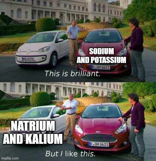 This Is Brilliant But I Like This | SODIUM AND POTASSIUM; NATRIUM AND KALIUM | image tagged in this is brilliant but i like this,chemistrymemes | made w/ Imgflip meme maker