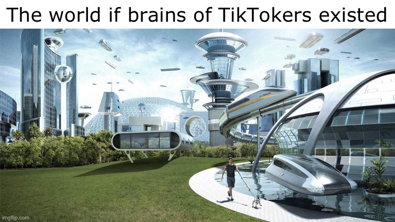 where brains | The world if brains of TikTokers existed | image tagged in the future world if | made w/ Imgflip meme maker