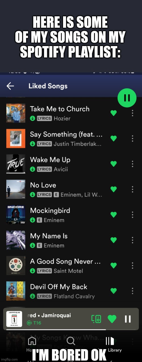 My spotify | HERE IS SOME OF MY SONGS ON MY SPOTIFY PLAYLIST:; I'M BORED OK | image tagged in spotify,musically oblivious 8th grader,lol | made w/ Imgflip meme maker