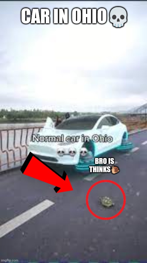 Ohio Moment | CAR IN OHIO💀; BRO IS THINKS🐌 | image tagged in only in ohio | made w/ Imgflip meme maker