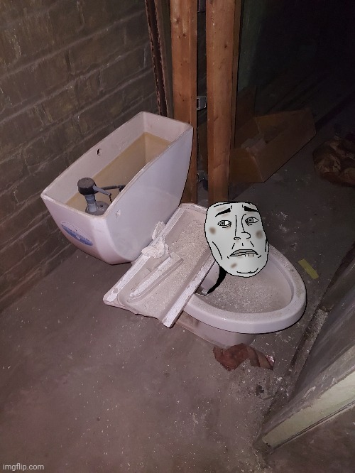 Msmg basement toilet (that's a skinwalker in the toilet) | image tagged in msmg,msmg basement | made w/ Imgflip meme maker