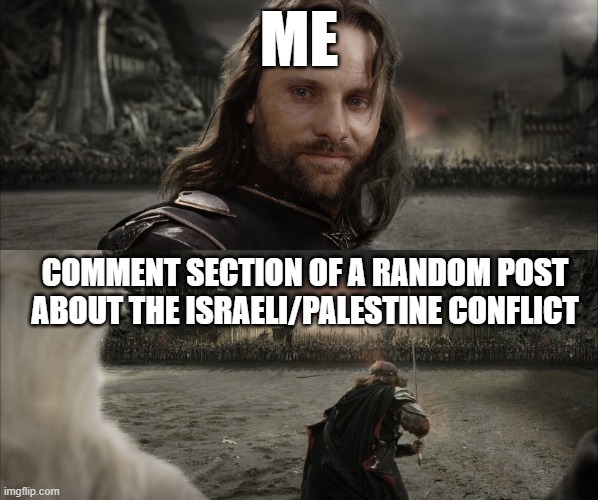 Comment section is always wild | ME; COMMENT SECTION OF A RANDOM POST ABOUT THE ISRAELI/PALESTINE CONFLICT | image tagged in aragorn black gate for frodo,israel,palestine | made w/ Imgflip meme maker