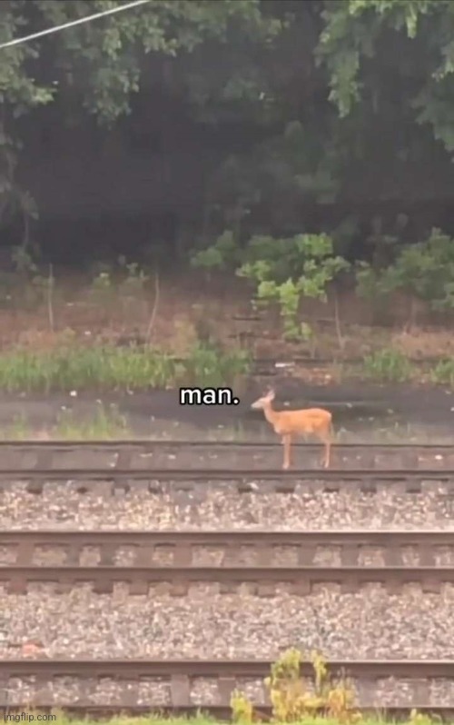 Man. | made w/ Imgflip meme maker
