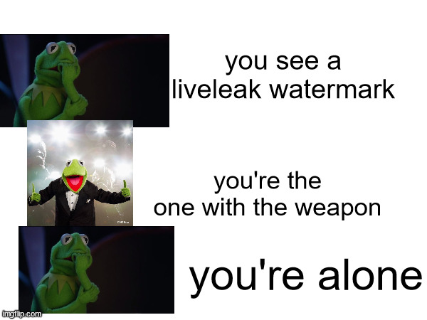 nooooo | you see a liveleak watermark; you're the one with the weapon; you're alone | made w/ Imgflip meme maker