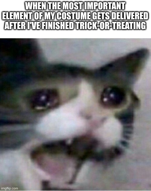 pain, sadness, and disappointment in one feeling. | WHEN THE MOST IMPORTANT ELEMENT OF MY COSTUME GETS DELIVERED AFTER I'VE FINISHED TRICK-OR-TREATING | image tagged in crying cat,halloween,halloween costume,costume,sad | made w/ Imgflip meme maker