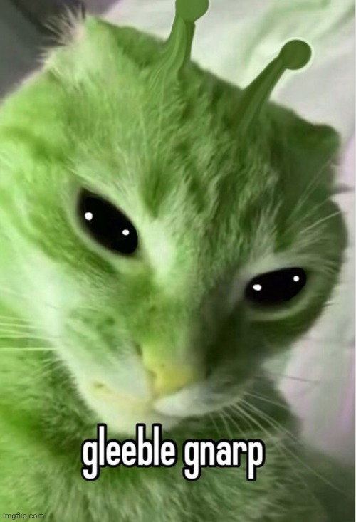 Sceeble stibble | made w/ Imgflip meme maker