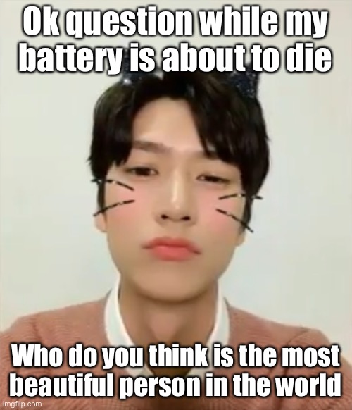 >>>>>real people<<<<< | Ok question while my battery is about to die; Who do you think is the most beautiful person in the world | image tagged in i m high number 2 | made w/ Imgflip meme maker