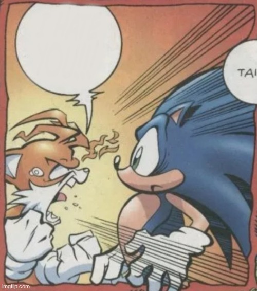 Tails Yelling At Sonic | image tagged in tails yelling at sonic | made w/ Imgflip meme maker