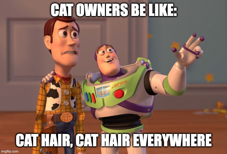 X, X Everywhere | CAT OWNERS BE LIKE:; CAT HAIR, CAT HAIR EVERYWHERE | image tagged in memes,x x everywhere | made w/ Imgflip meme maker