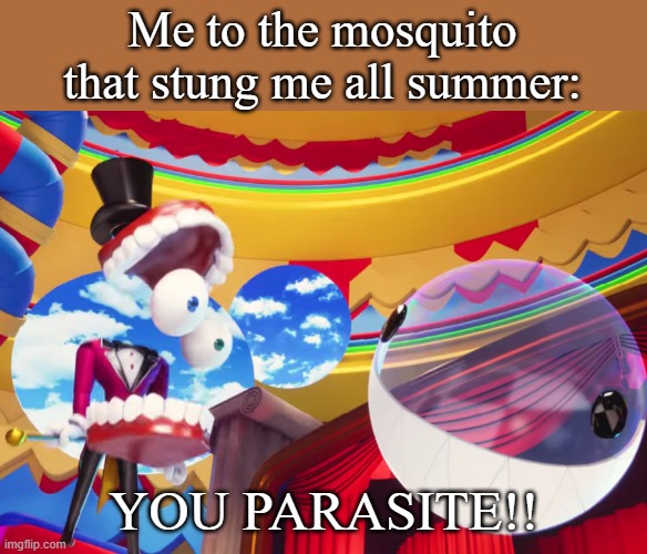 YOU PARASITE | Me to the mosquito that stung me all summer:; YOU PARASITE!! | image tagged in you parasite | made w/ Imgflip meme maker