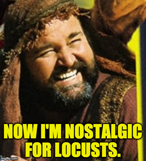 NOW I'M NOSTALGIC
FOR LOCUSTS. | made w/ Imgflip meme maker