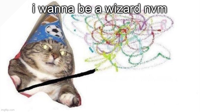 Wizard Cat | i wanna be a wizard nvm | image tagged in wizard cat | made w/ Imgflip meme maker