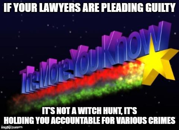 the more you know | IF YOUR LAWYERS ARE PLEADING GUILTY; IT'S NOT A WITCH HUNT, IT'S HOLDING YOU ACCOUNTABLE FOR VARIOUS CRIMES | image tagged in the more you know | made w/ Imgflip meme maker