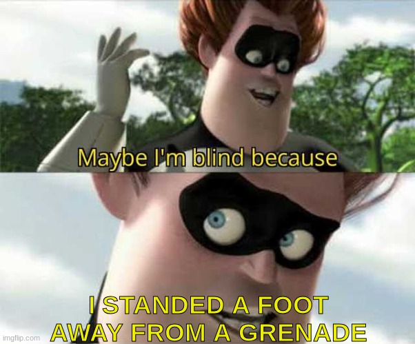 Maybe i'm blind because | I STANDED A FOOT AWAY FROM A GRENADE | image tagged in maybe i'm blind because | made w/ Imgflip meme maker