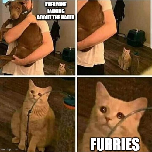 I just found a furry hater | EVERYONE TALKING ABOUT THE HATER; FURRIES | image tagged in sad cat holding dog,memes,funny | made w/ Imgflip meme maker