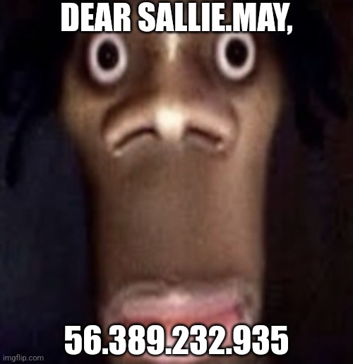 I leaked your gay uncle's IP, your aunt Annie is next | DEAR SALLIE.MAY, 56.389.232.935 | image tagged in quandale dingle | made w/ Imgflip meme maker