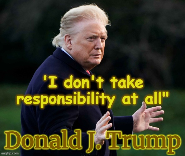 "I don't take responsibility at all"  Donald J. Trump irresponsible | 'I don't take responsibility at all"; Donald J. Trump | image tagged in trump orange face,republicans,traitor,abuser,pedophile,authoritarian | made w/ Imgflip meme maker