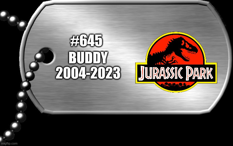 dog tags | #645 BUDDY
2004-2023 | image tagged in dog tags | made w/ Imgflip meme maker