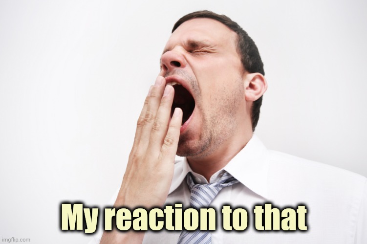 yawn | My reaction to that | image tagged in yawn | made w/ Imgflip meme maker