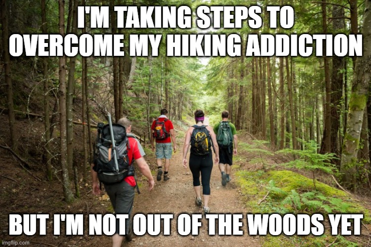 Hiking addiction | I'M TAKING STEPS TO OVERCOME MY HIKING ADDICTION; BUT I'M NOT OUT OF THE WOODS YET | image tagged in hiking | made w/ Imgflip meme maker