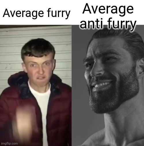 Average Fan vs Average Enjoyer | Average furry Average anti furry | image tagged in average fan vs average enjoyer | made w/ Imgflip meme maker