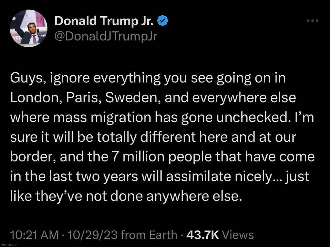 Say it isn't so? | image tagged in djt junior,donald trump jr,illegal immigration,assimilation,domestic terrorism,enemies at the gates | made w/ Imgflip meme maker