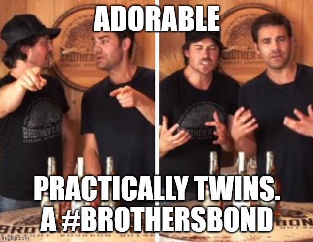 BROTHERS BOND, PRACTICALLY TWINS & ADORABLE | ADORABLE; PRACTICALLY TWINS.
A #BROTHERSBOND | image tagged in bourbon,the vampire diaries | made w/ Imgflip meme maker