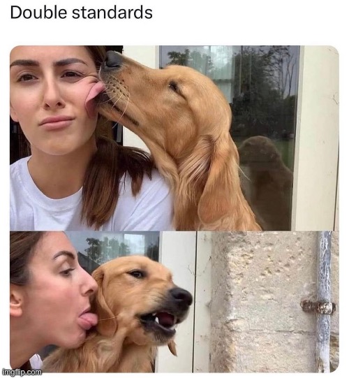 Post it like you stole it | image tagged in dogs,lick,kiss | made w/ Imgflip meme maker