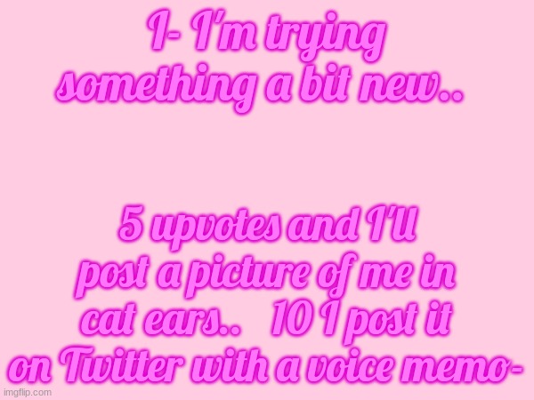 N- Nya Nya I guess...~ | I- I'm trying something a bit new.. 5 upvotes and I'll post a picture of me in cat ears..   10 I post it on Twitter with a voice memo- | image tagged in catboy,femboy,twitter | made w/ Imgflip meme maker