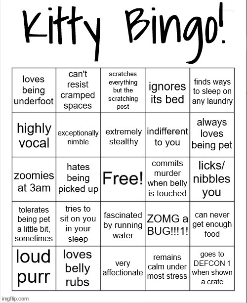 It's finally done | image tagged in kitty bingo | made w/ Imgflip meme maker