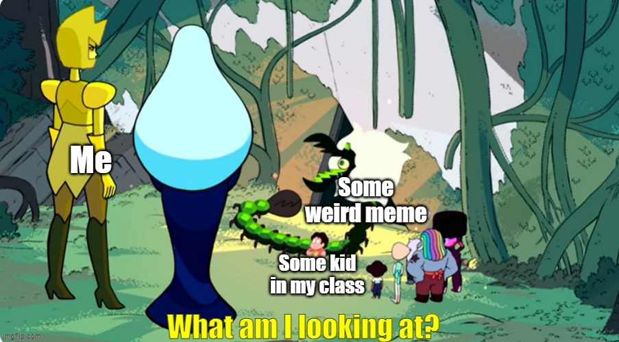 what-am-i-looking-at-imgflip