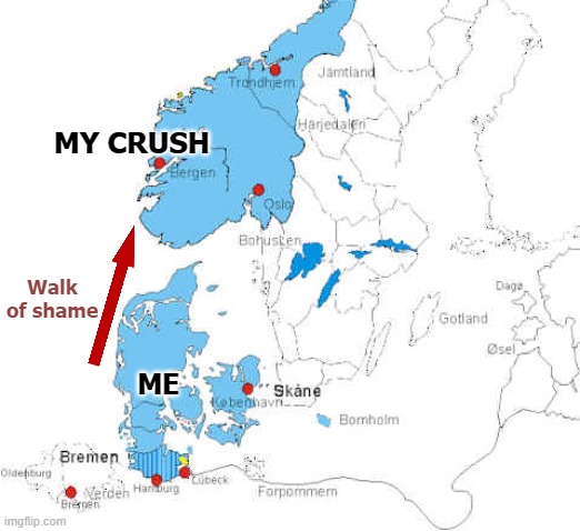 She can choose between the swim of shame or the flight of shame | MY CRUSH; Walk of shame; ME | image tagged in funny | made w/ Imgflip meme maker