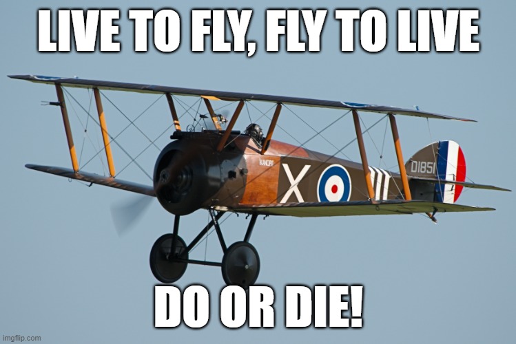 Aces High | LIVE TO FLY, FLY TO LIVE; DO OR DIE! | image tagged in biplane | made w/ Imgflip meme maker