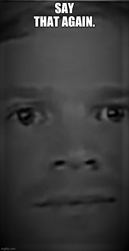 White Guy Staring But Just The Front Image (Black and White) | SAY THAT AGAIN. | image tagged in white guy staring but just the front image black and white | made w/ Imgflip meme maker