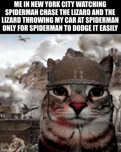 dude | ME IN NEW YORK CITY WATCHING SPIDERMAN CHASE THE LIZARD AND THE LIZARD THROWING MY CAR AT SPIDERMAN ONLY FOR SPIDERMAN TO DODGE IT EASILY | image tagged in memes,blank transparent square | made w/ Imgflip meme maker