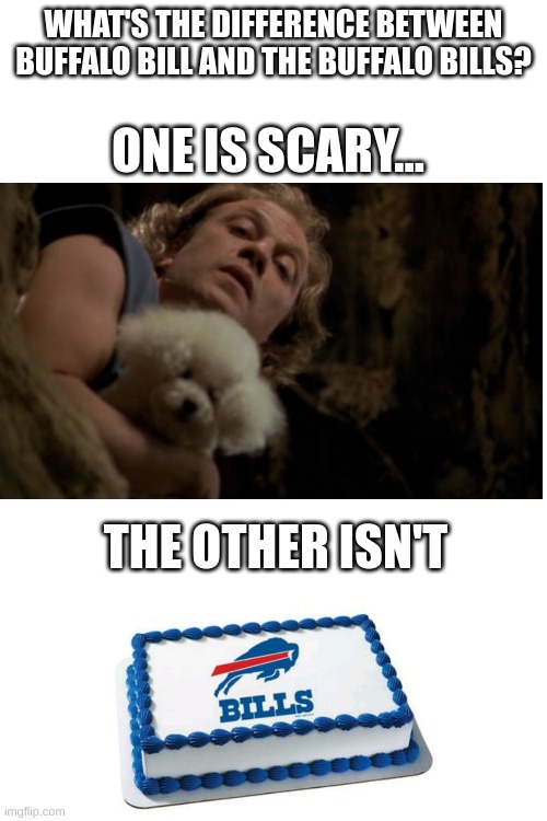 I am so sick of people saying that their going to win the Super Bowl | WHAT'S THE DIFFERENCE BETWEEN BUFFALO BILL AND THE BUFFALO BILLS? ONE IS SCARY... THE OTHER ISN'T | image tagged in buffalo bills,movies,scary movie,football,nfl,buffalo bill | made w/ Imgflip meme maker